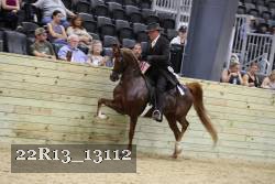 22R13_13112 proof