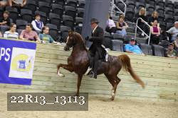 22R13_13113 proof
