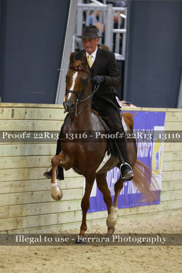 Proof 22R13_13116