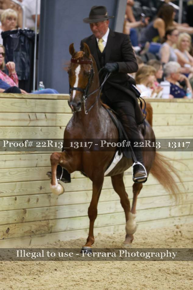 Proof 22R13_13117