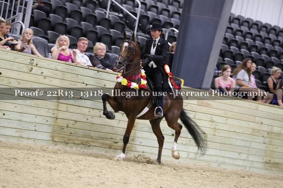 Proof 22R13_13118