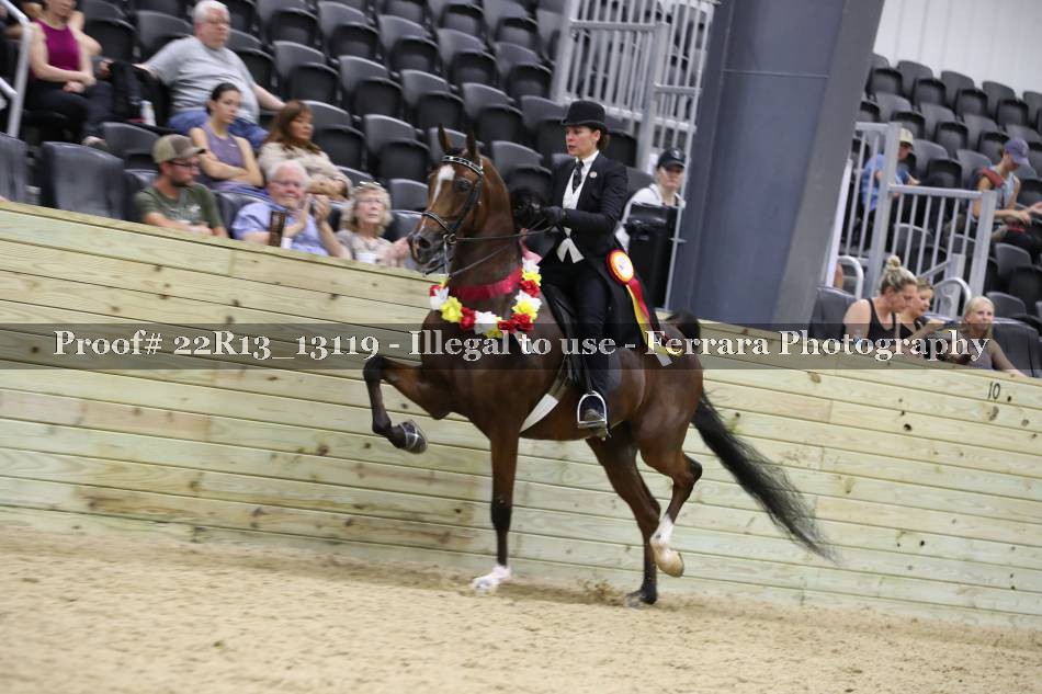 Proof 22R13_13119