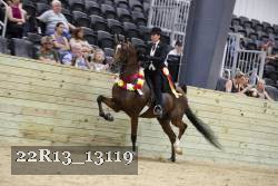 22R13_13119 proof