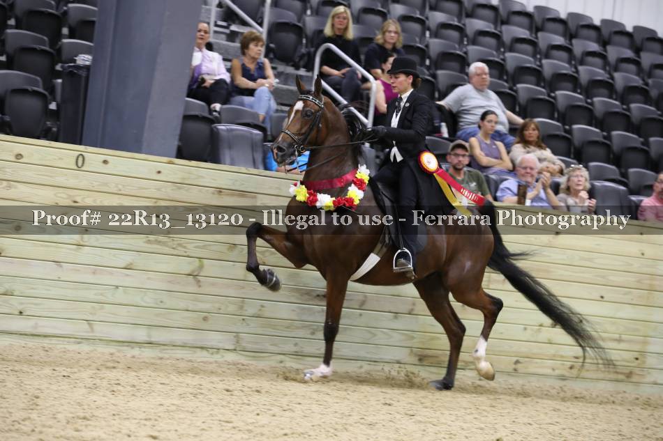 Proof 22R13_13120