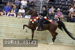 22R13_13123 proof