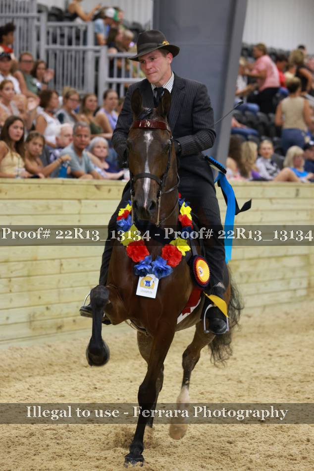 Proof 22R13_13134