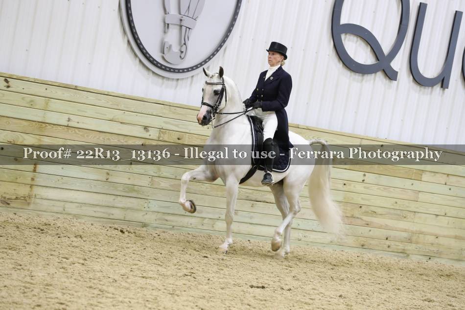 Proof 22R13_13136
