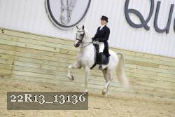 22R13_13136 proof