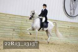 22R13_13137 proof