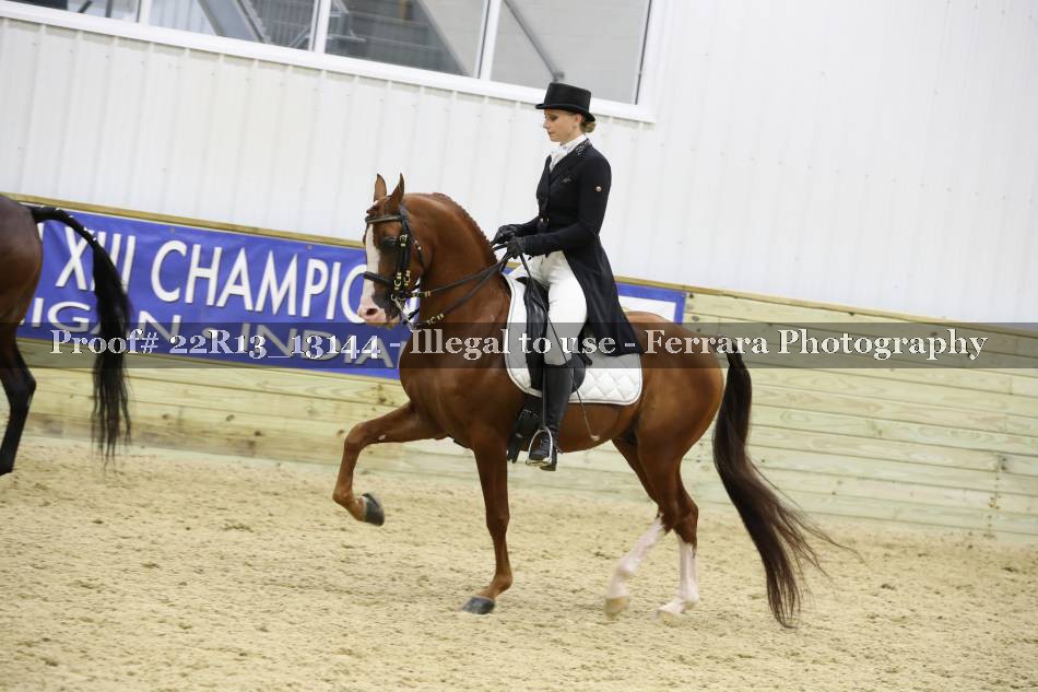 Proof 22R13_13144