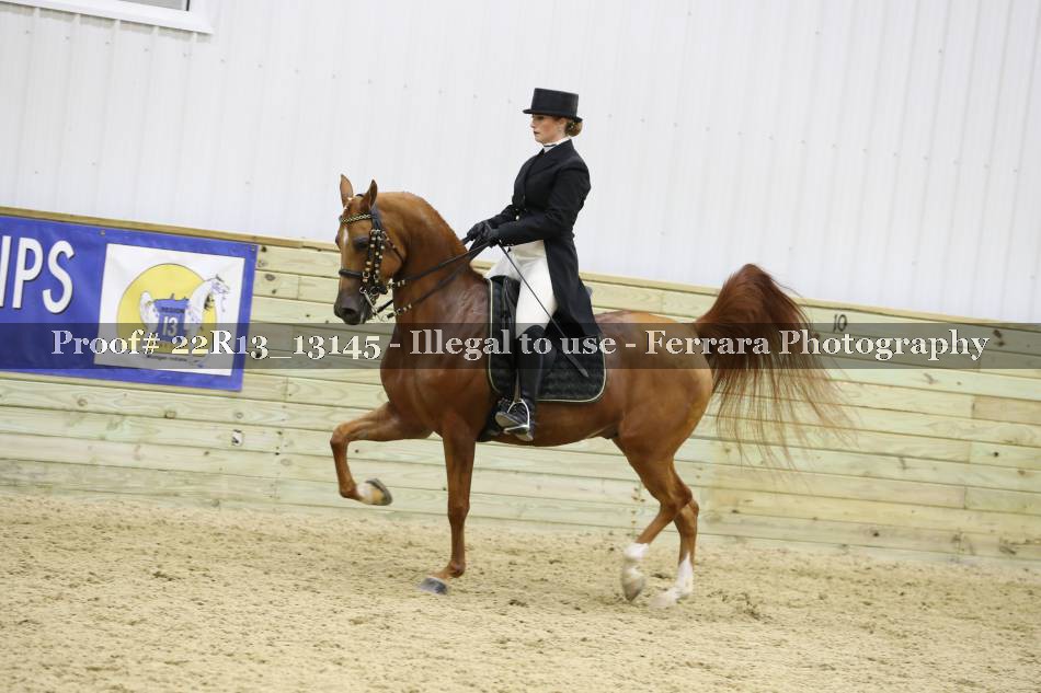 Proof 22R13_13145