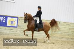 22R13_13145 proof