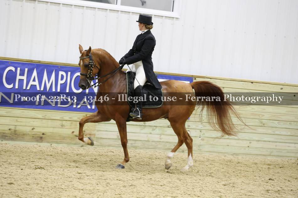 Proof 22R13_13146
