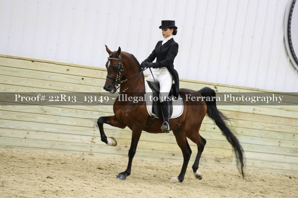 Proof 22R13_13149