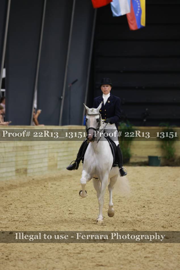 Proof 22R13_13151