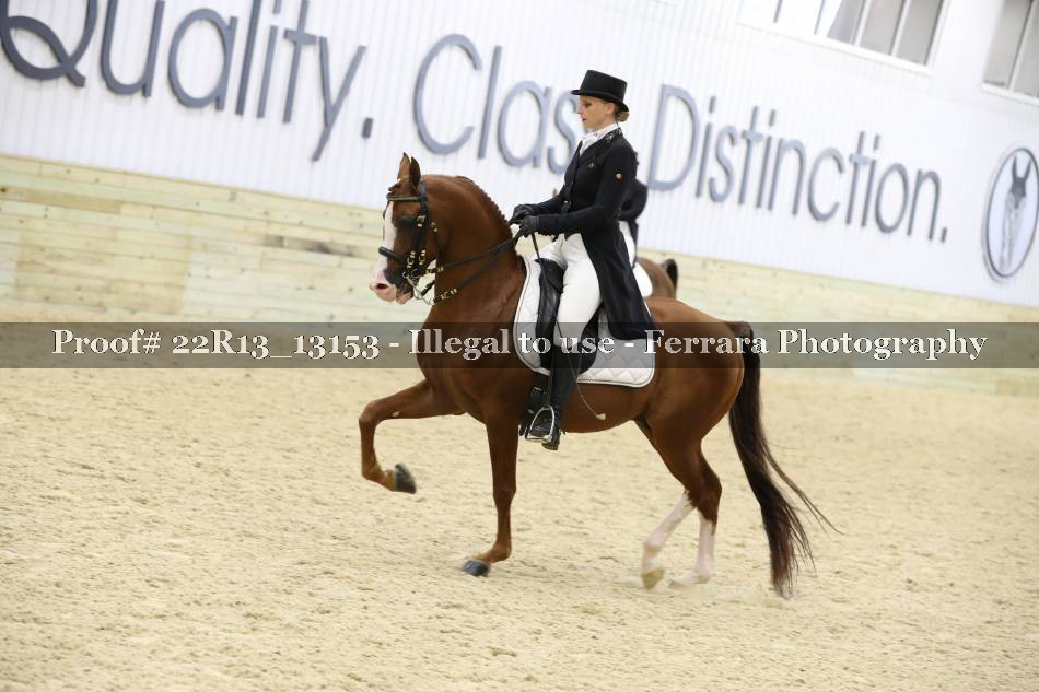 Proof 22R13_13153