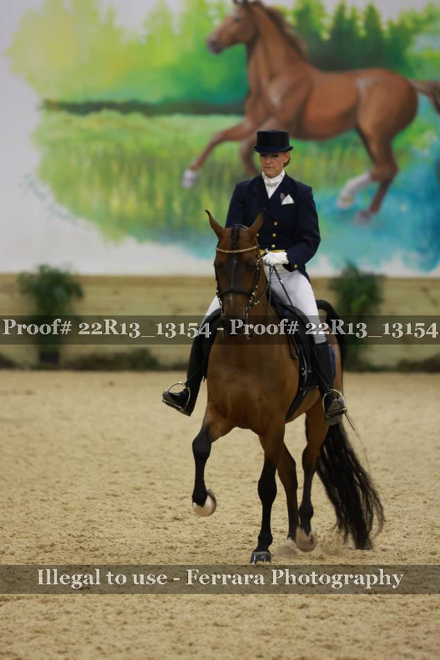 Proof 22R13_13154