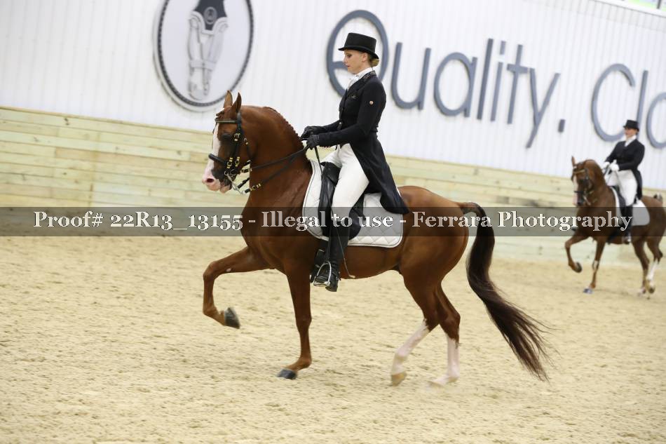Proof 22R13_13155