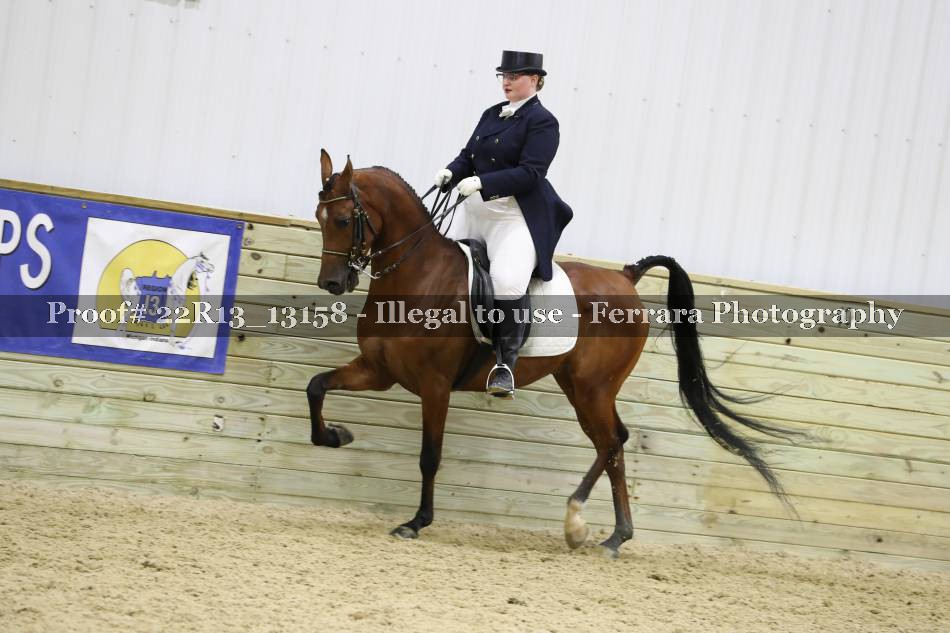 Proof 22R13_13158