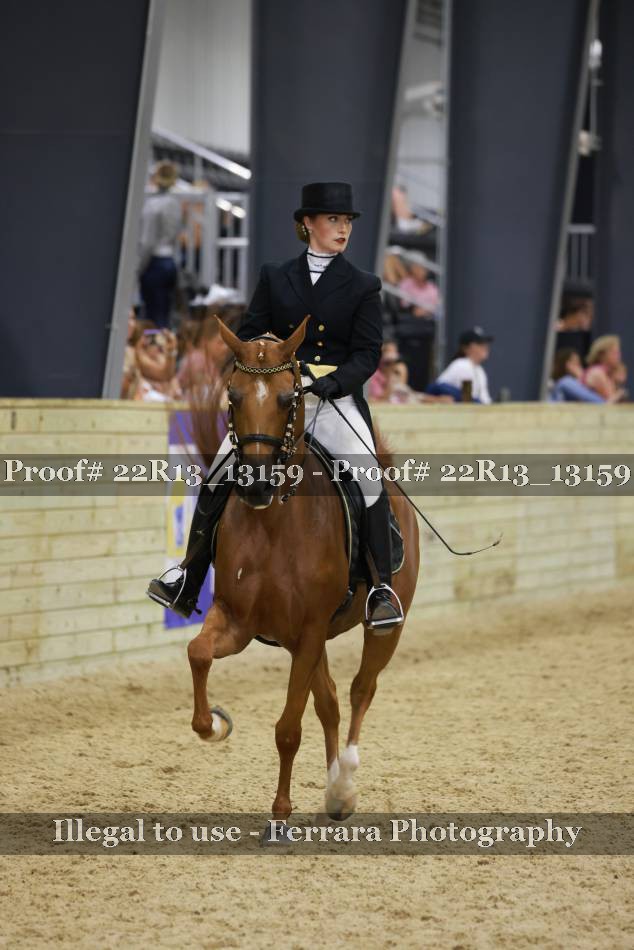 Proof 22R13_13159