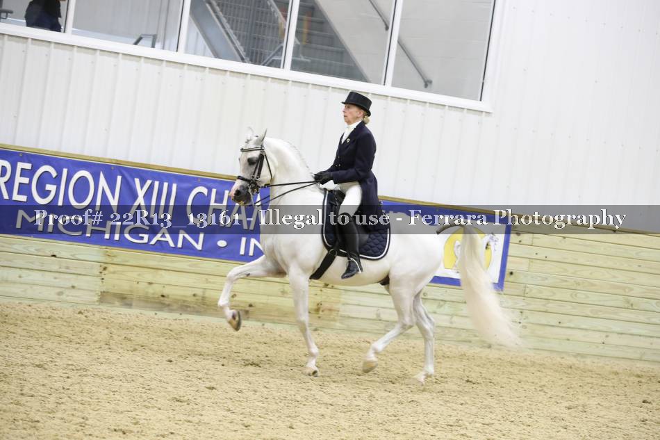 Proof 22R13_13161