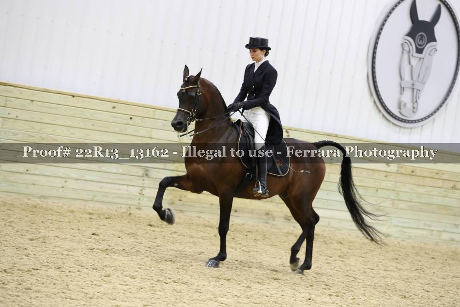 Proof 22R13_13162