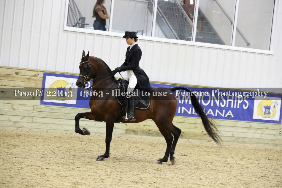 Proof 22R13_13163