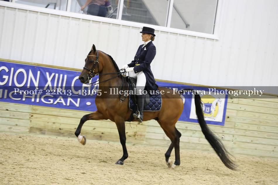 Proof 22R13_13165