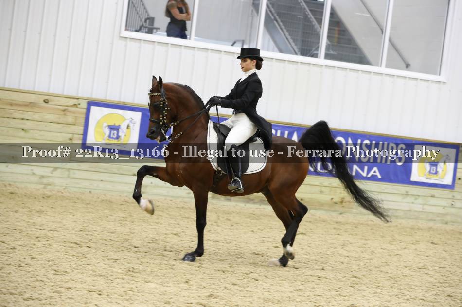 Proof 22R13_13166