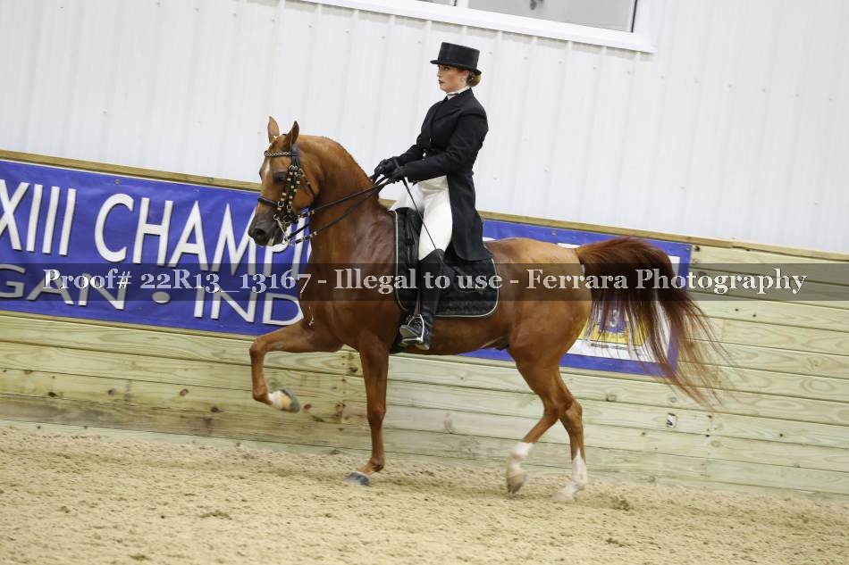 Proof 22R13_13167