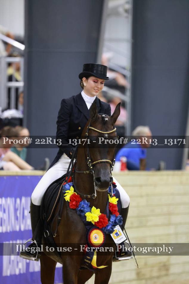 Proof 22R13_13171
