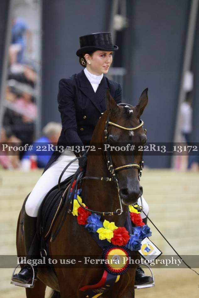 Proof 22R13_13172