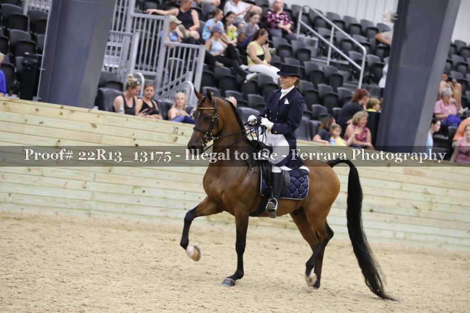Proof 22R13_13175