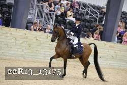 22R13_13175 proof