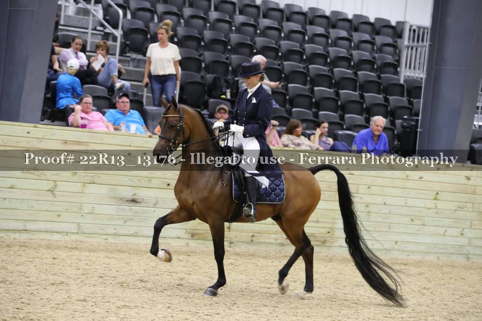 Proof 22R13_13176