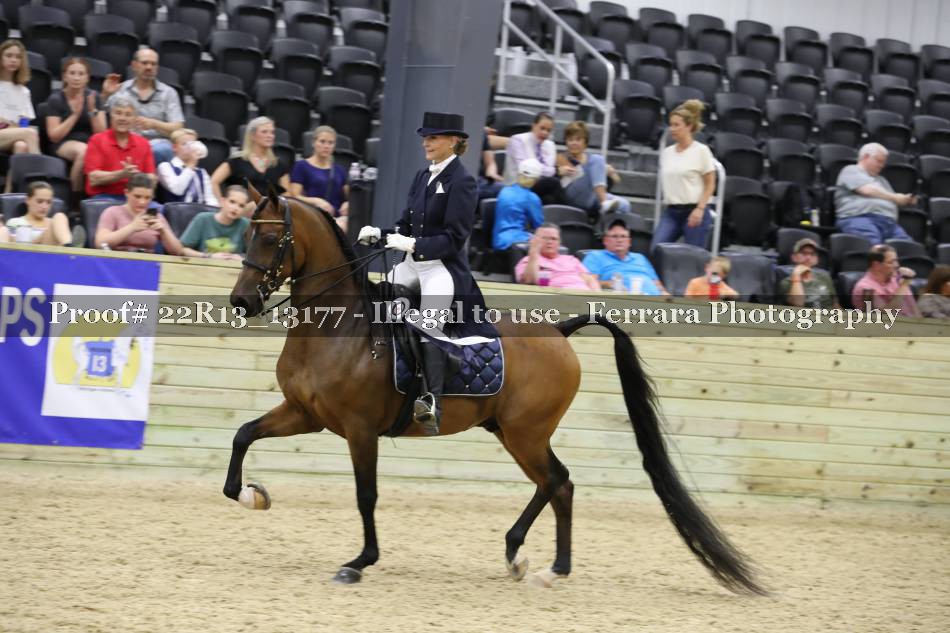 Proof 22R13_13177