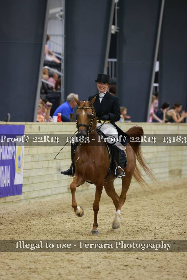 Proof 22R13_13183