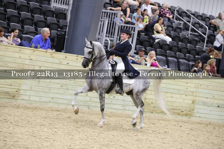 Proof 22R13_13185