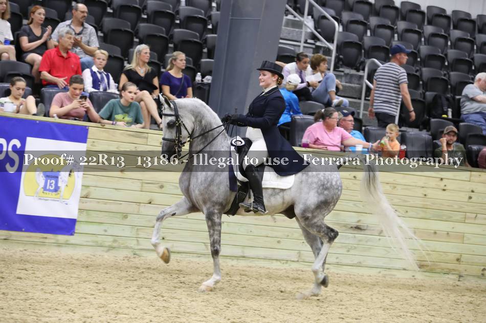 Proof 22R13_13186