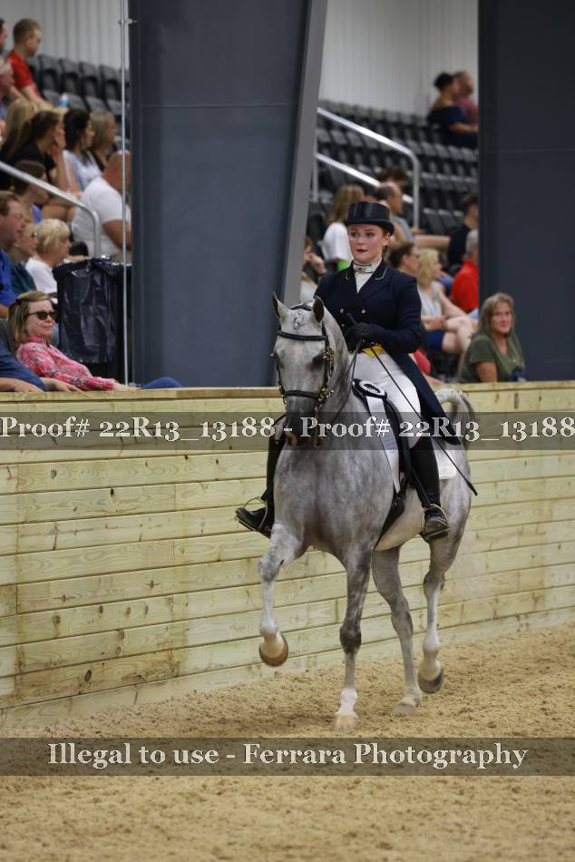 Proof 22R13_13188