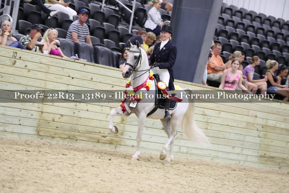 Proof 22R13_13189