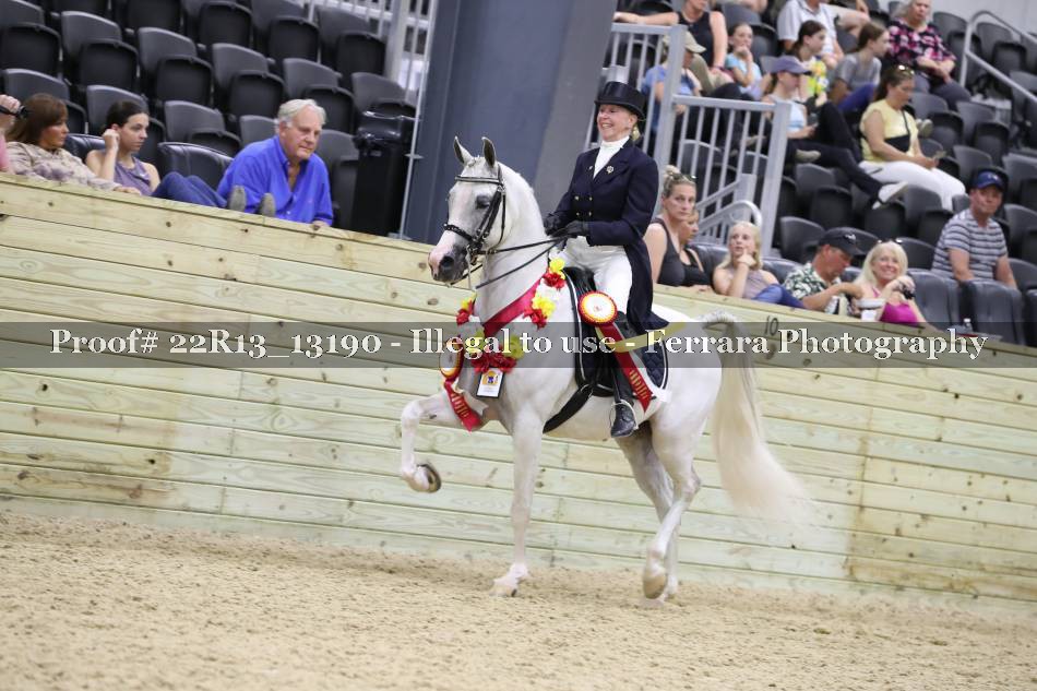 Proof 22R13_13190