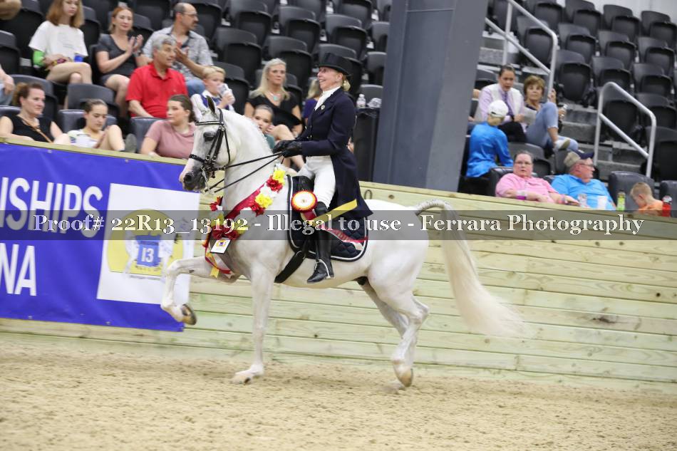 Proof 22R13_13192