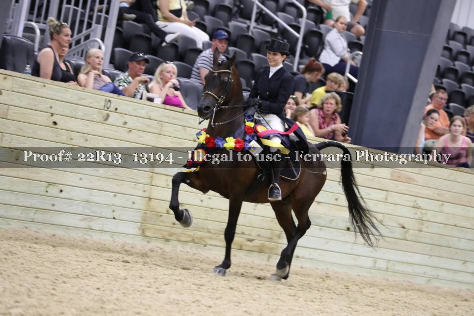 Proof 22R13_13194