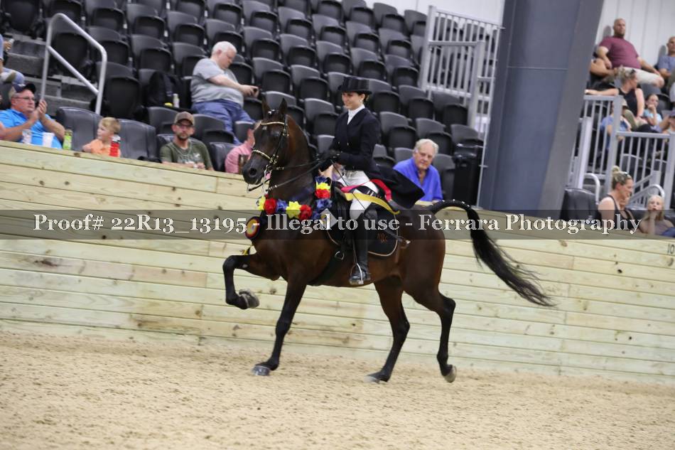 Proof 22R13_13195