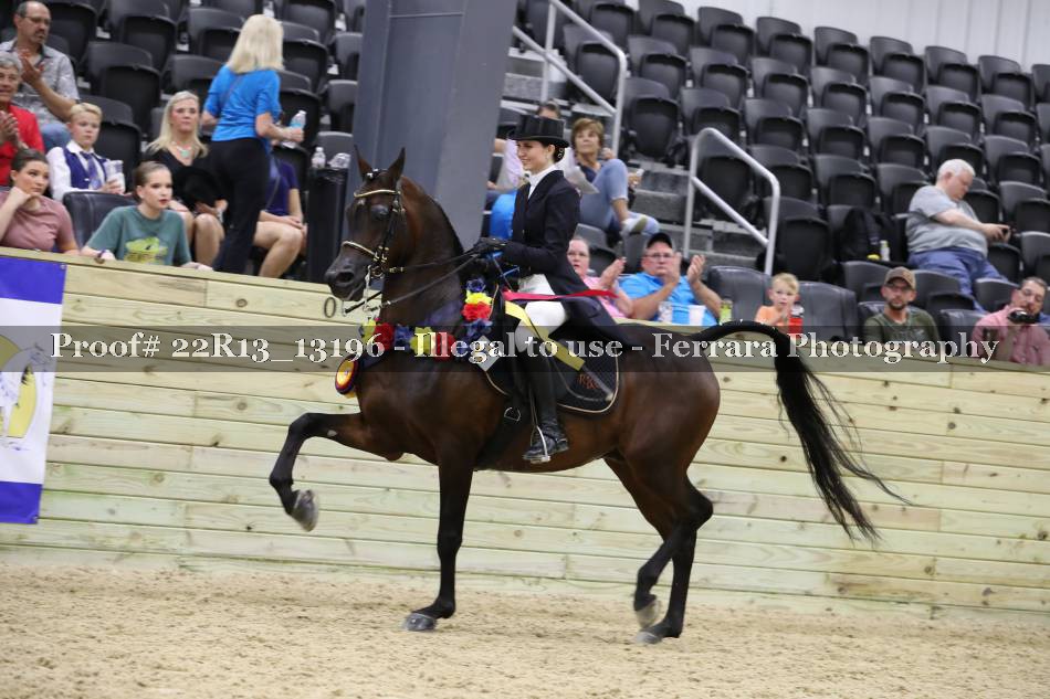 Proof 22R13_13196