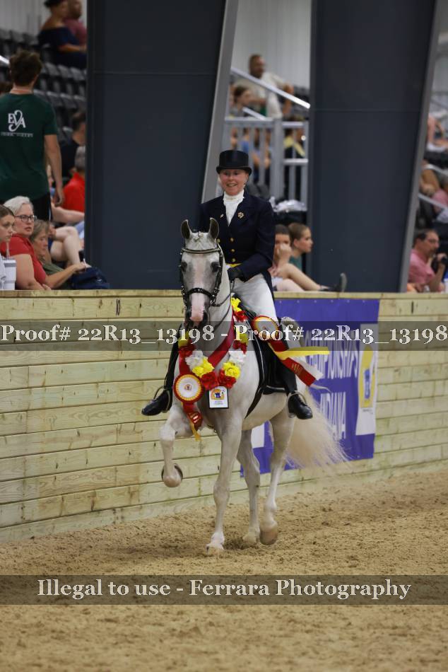 Proof 22R13_13198