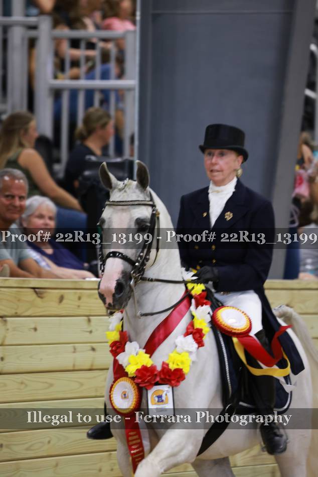 Proof 22R13_13199