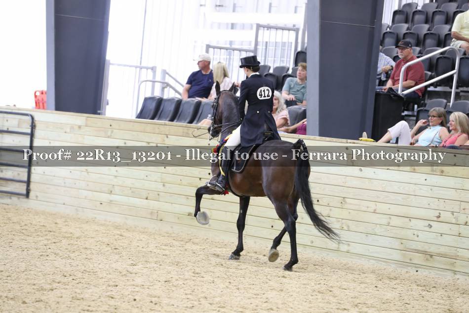 Proof 22R13_13201