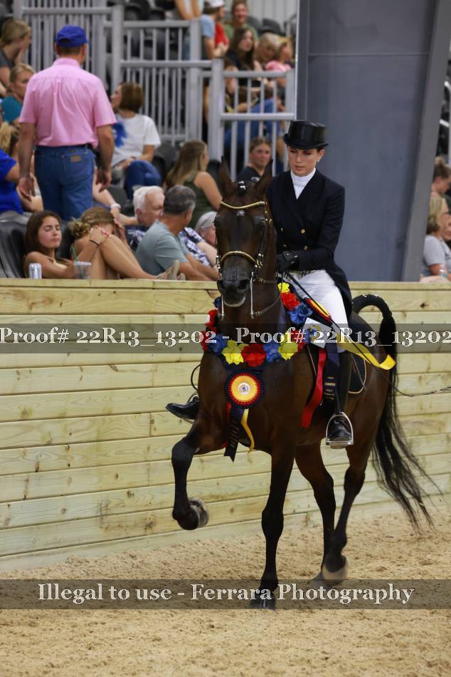 Proof 22R13_13202